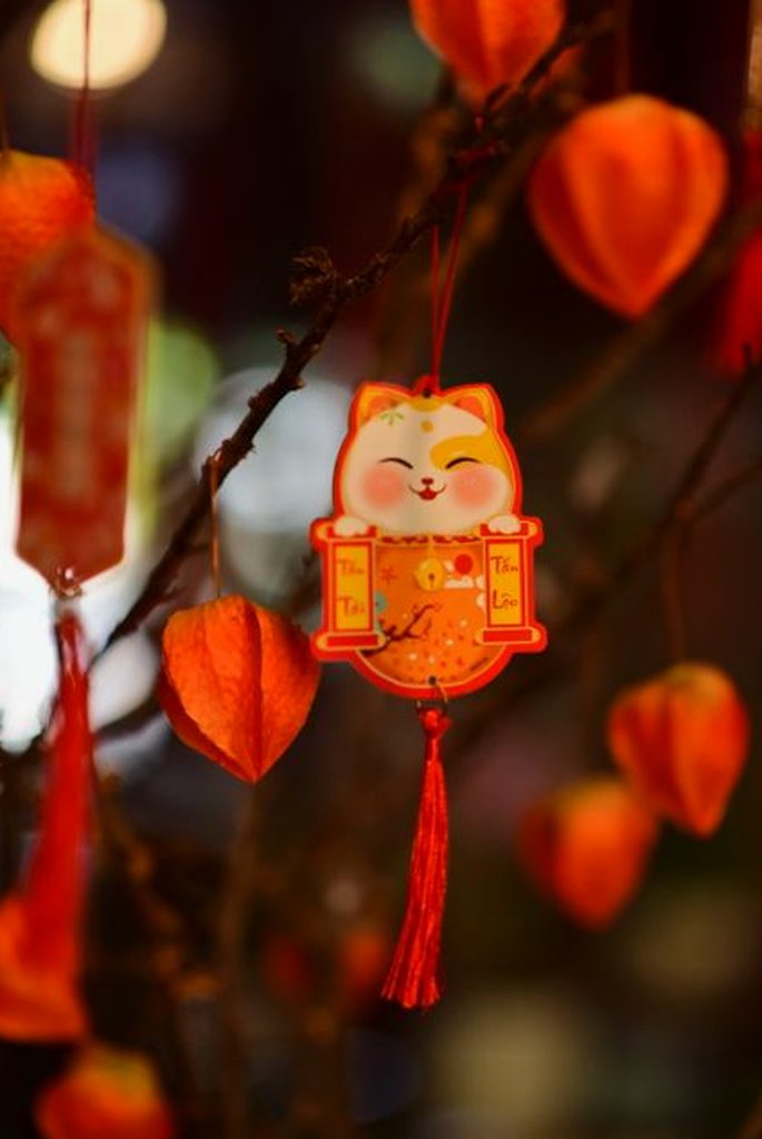 bí quyết 8Day